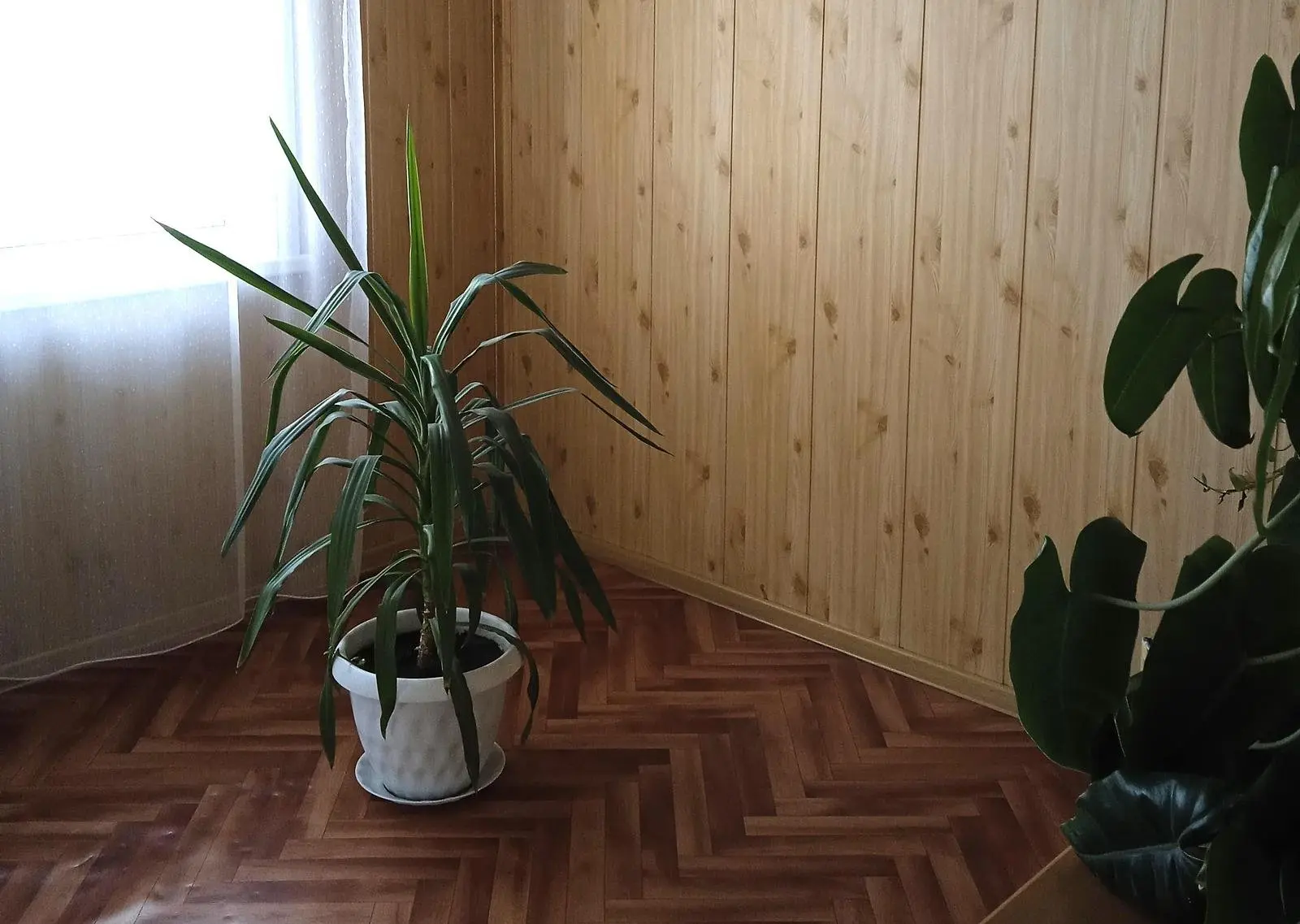 Холл | Лондон Сити, Новосибирская область