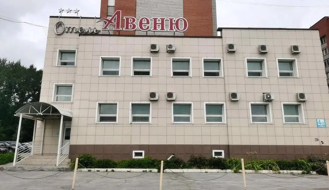 Внешний вид | Авеню, Новосибирская область