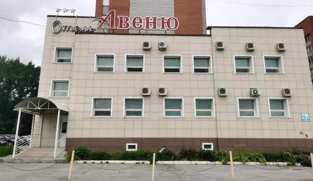 Внешний вид | Авеню, Новосибирская область