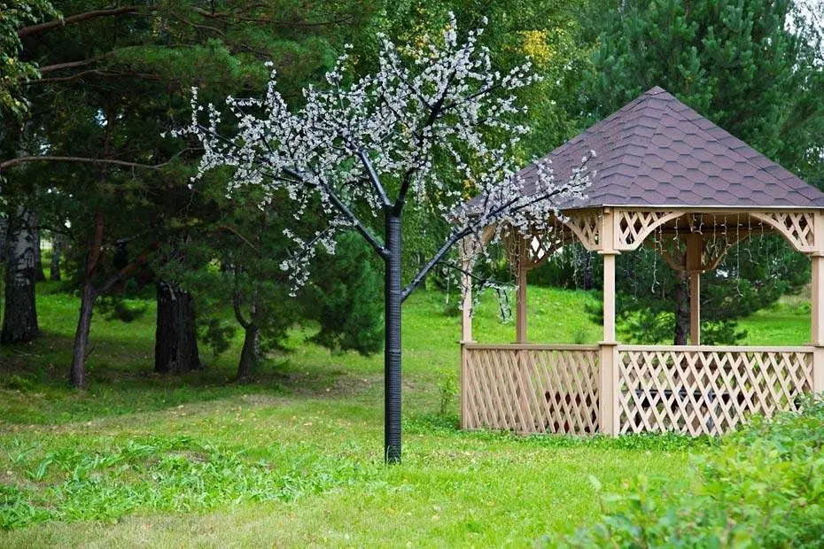 Территория | Борисовский, Кемеровская область