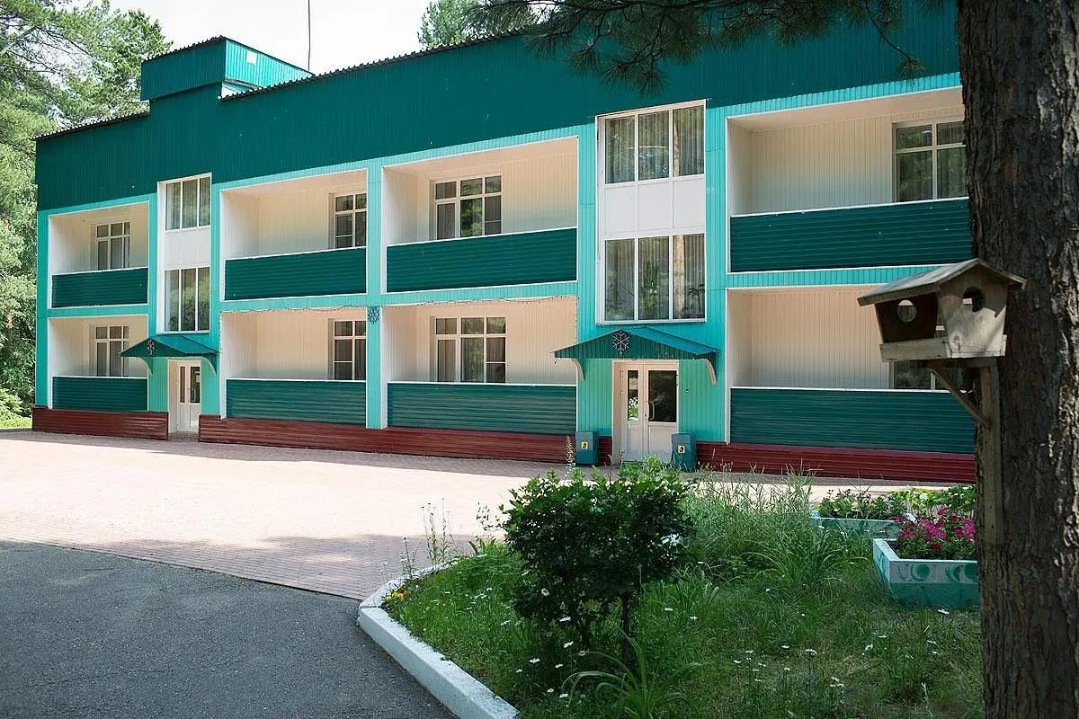 Внешний вид | Кедровый бор, Кемеровская область