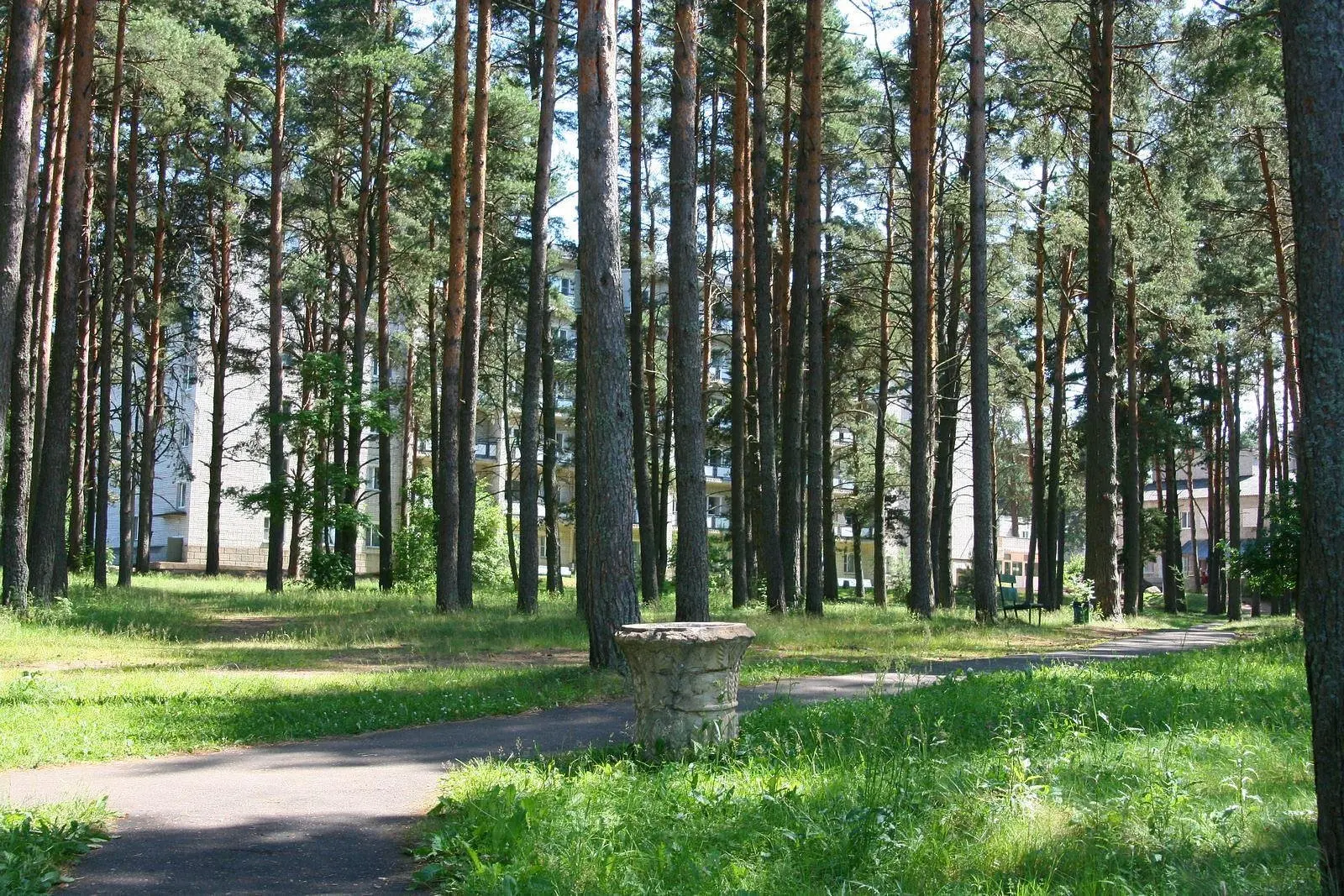Голубые озера, Псковская область: фото 3