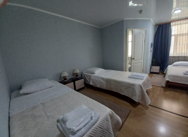 Стандартный 3-местный (TWIN; корпус 1, 2)