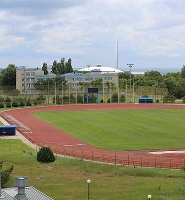 Футбольное поле с натуральным покрытием (игровое)