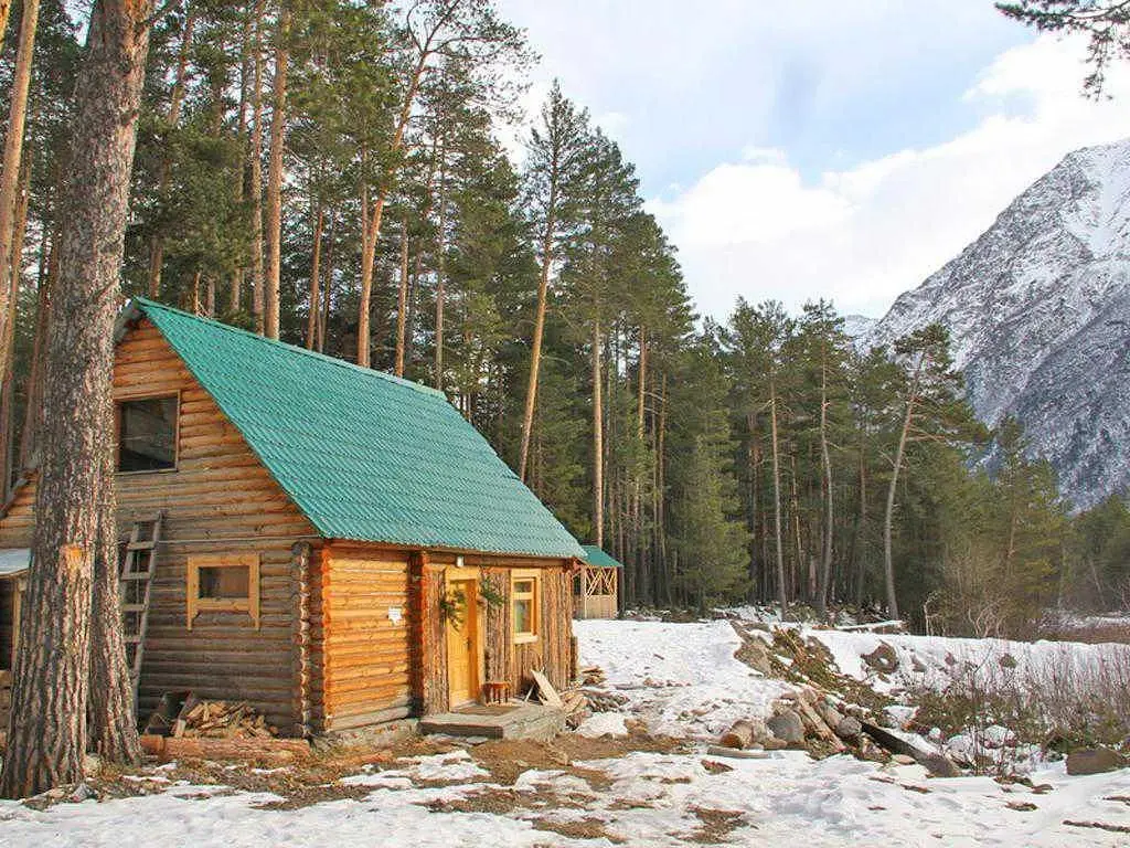 Сосновый бор, Республика Кабардино-Балкария: фото 4