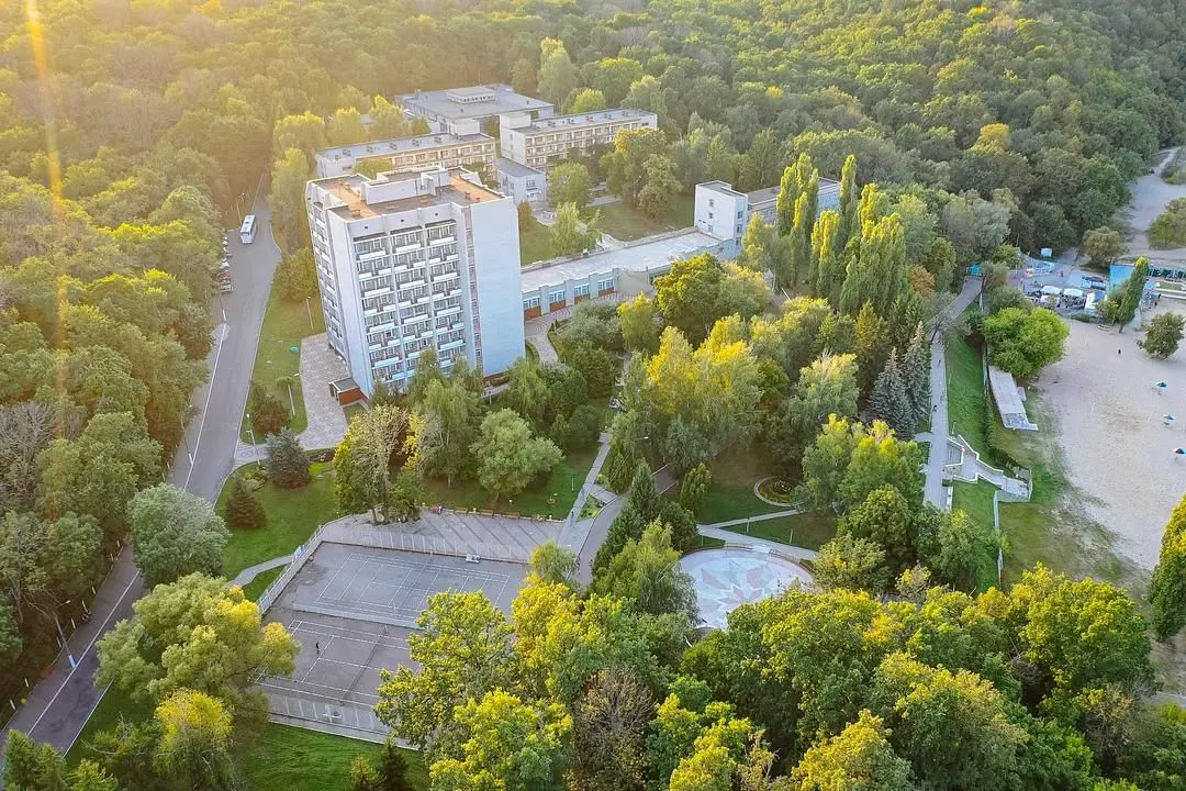 Клинический им. Горького, Воронежская область: фото 2
