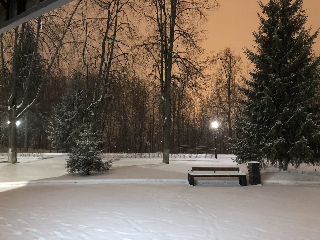 Фото из отзыва от 19.11.2023