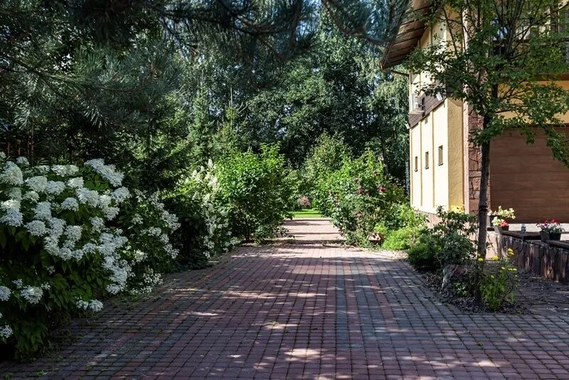 Фамма, Ленинградская область: фото 4