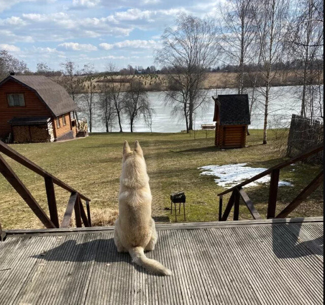 Дом 12-местный Усадьба Гнездилова