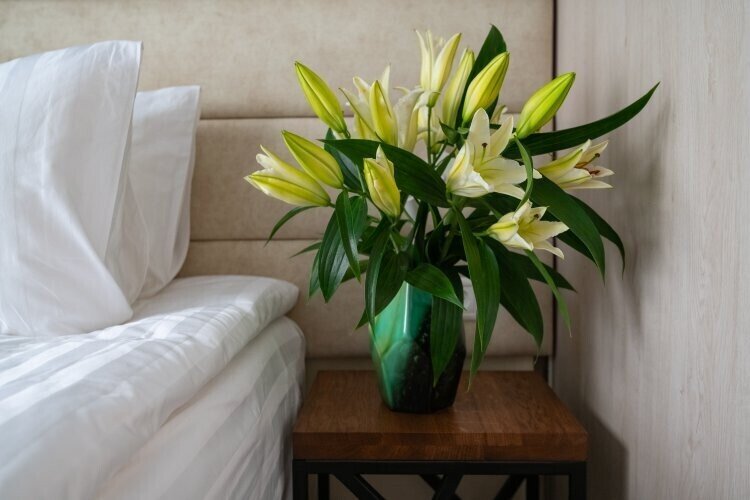 Таунхаус 2-местный Romantic