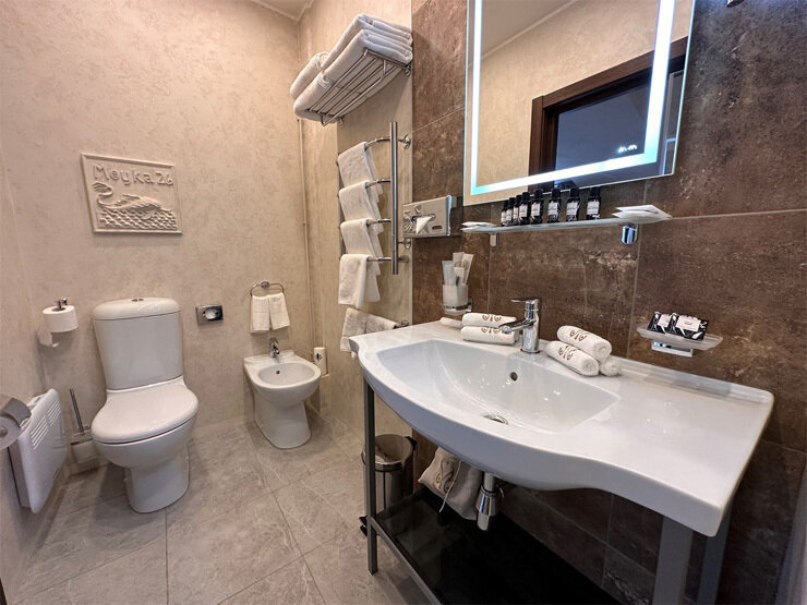 Супериор 2-местный (с террасой, мансарда)