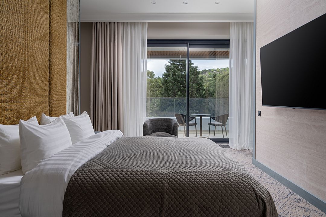 Делюкс 2-местный (с видом на парк)