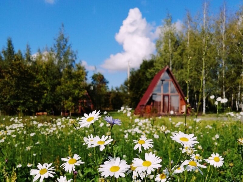 Экопарк Мультиферма, Липецкая область, Лебедянский 