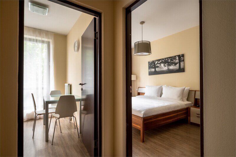 Апартаменты Комфорт 2-местный