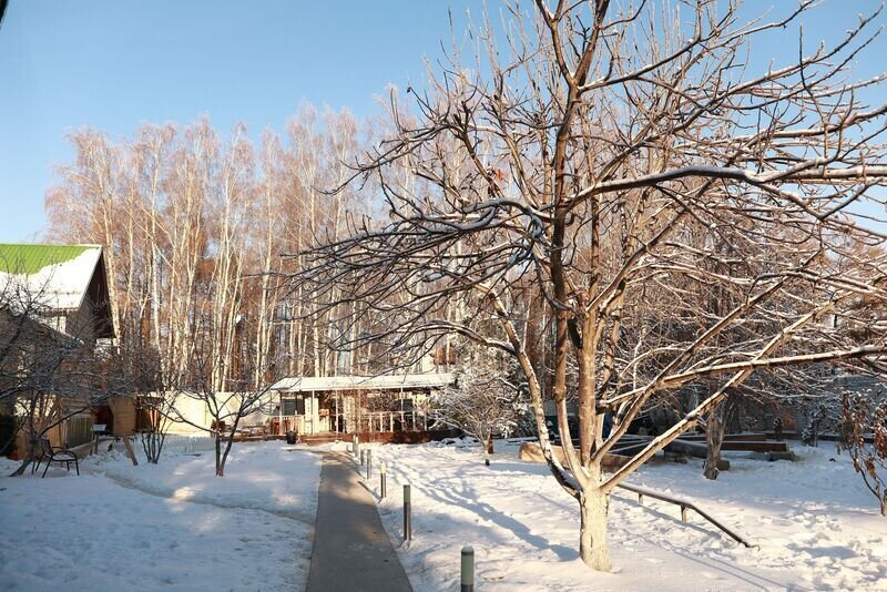 SOKOLKI village, Республика Татарстан: фото 3