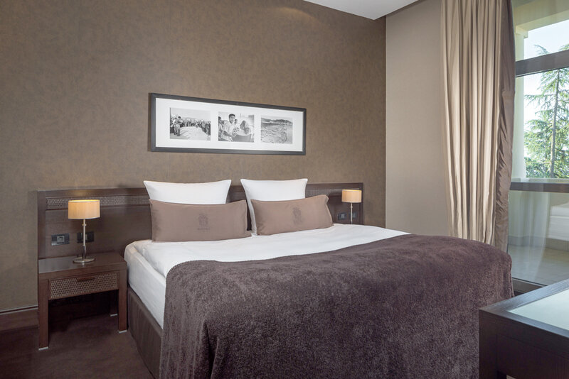 Deluxe 2-местный (с видом на парк)