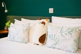 Джуниор Сюит «Семейный», Отель Тайга, Иркутск