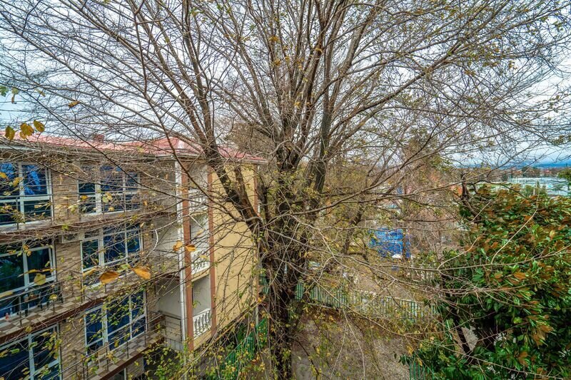 Стандартный 1-местный (с балконом)