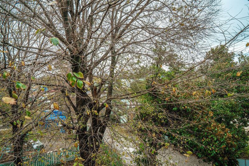 Стандартный 2-местный (с балконом)