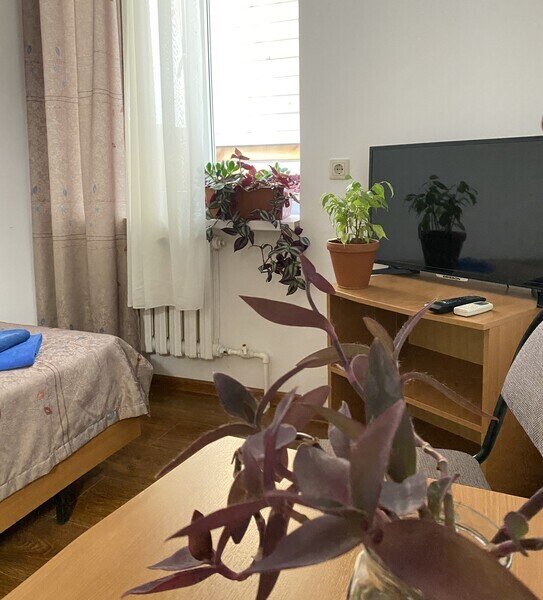 Эконом 2-местный