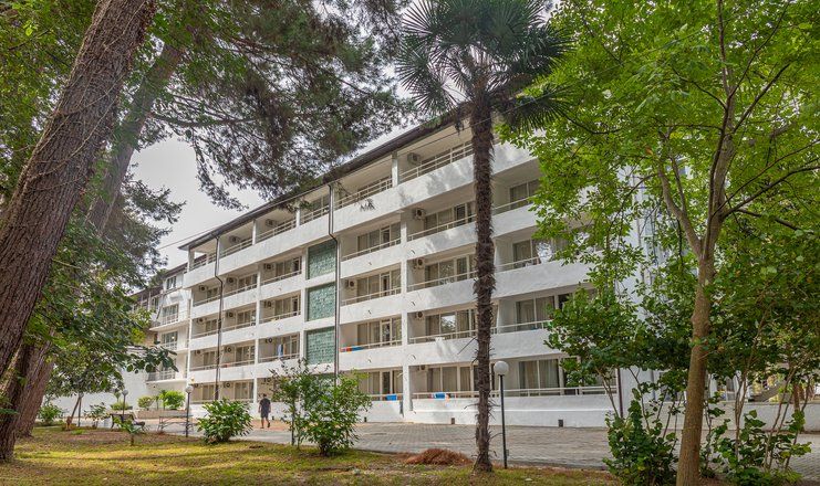 Золотые пески, Гагрский район: фото 3