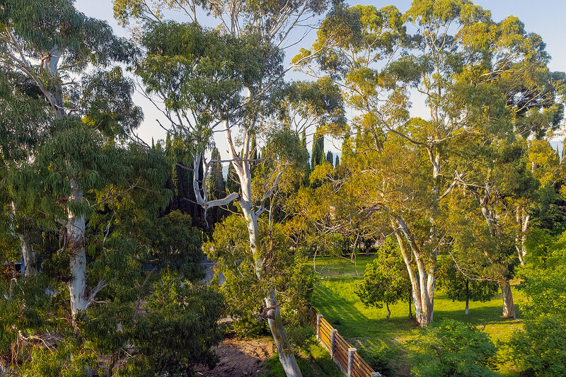 Стандартный 2-местный 1-комнатный (с балконом)