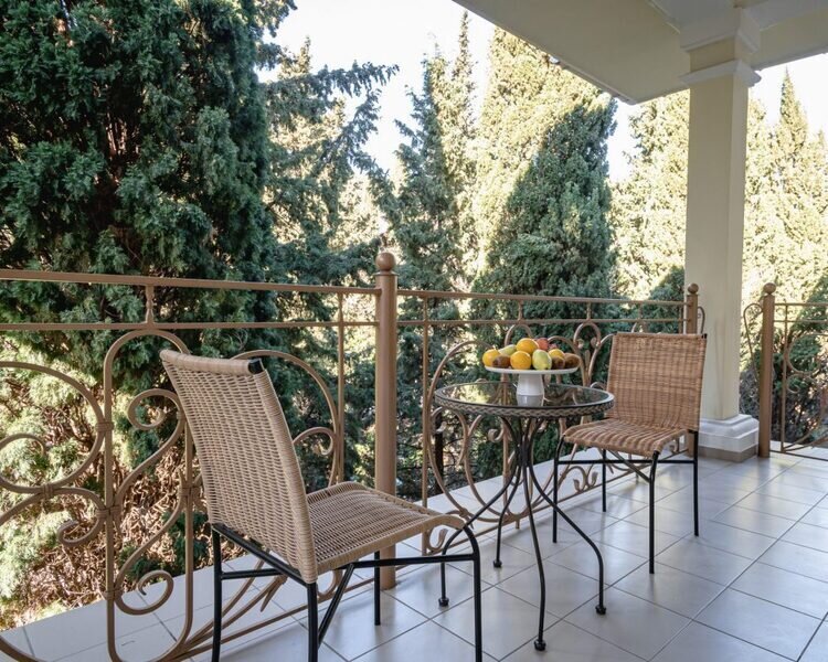 Люкс 2-местный 2-комнатный (парк) (4)