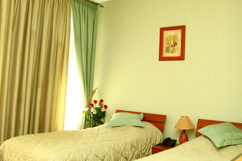 Стандартный 2-местный 1-комнатный TWIN