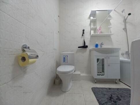 Апартаменты 3-местный 1-комнатный (№250)