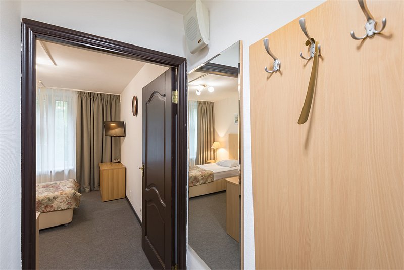 Стандартный 1-местный 1-комнатный