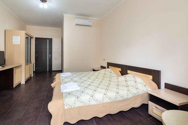 Стандартный 2-местный 1-комнатный (вид на горы)