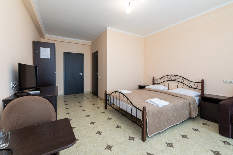 Стандартный 2-местный 1-комнатный (вид на море)