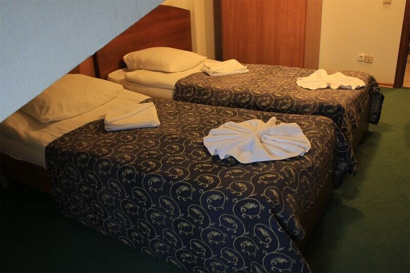 Эконом 2-местный 1-комнатный (Мансарда)