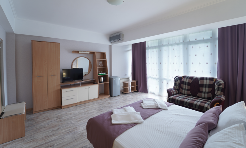 Студио 2-местный 1-комнатный (корпус Б)