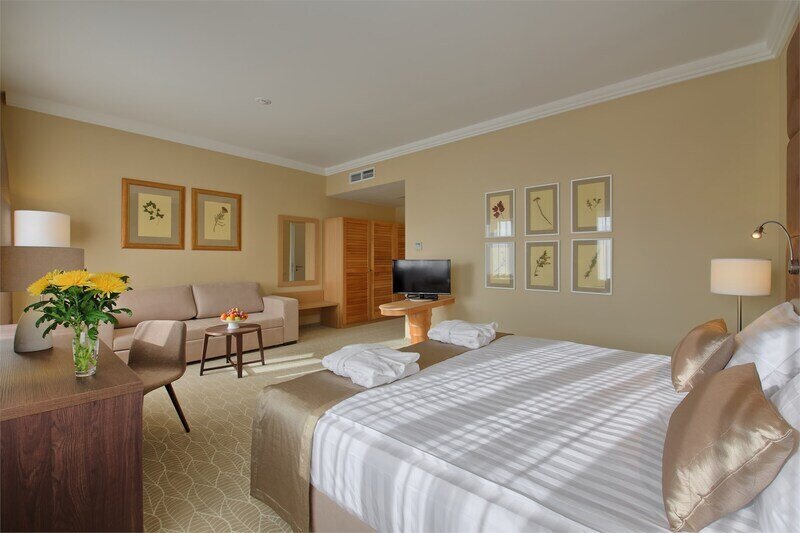 Делюкс 2-местный 1-комнатный (корпус А, Б)