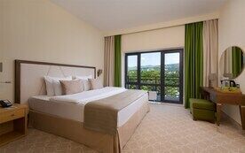 Люкс 2-комнатный вид на сад, Отель GREEN RESORT HOTEL & SPA, Кисловодск