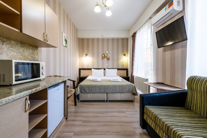 Студио 2-местный (с видом на горы)