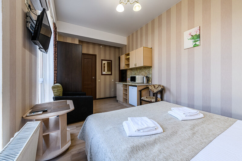 Студио 2-местный (с видом на горы)