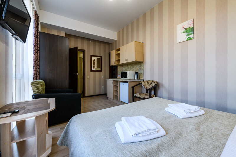 Студио 2-местный (с видом на горы)