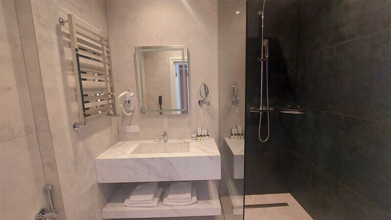 Стандартный 2-местный Twin (вид на парк)