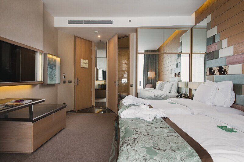 Делюкс Handicapped 2-местный (для людей с ограниченными возможностями)