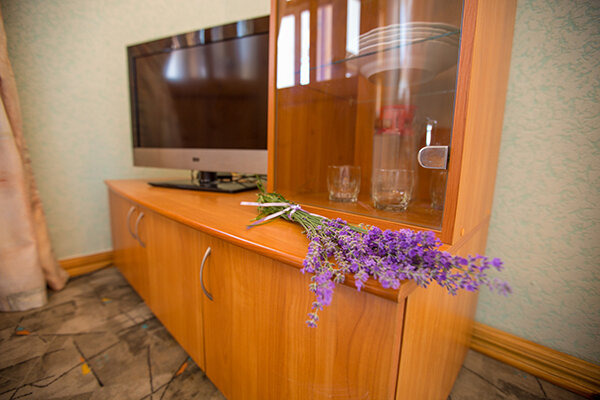 Стандартный  2-местный 2-комнатный