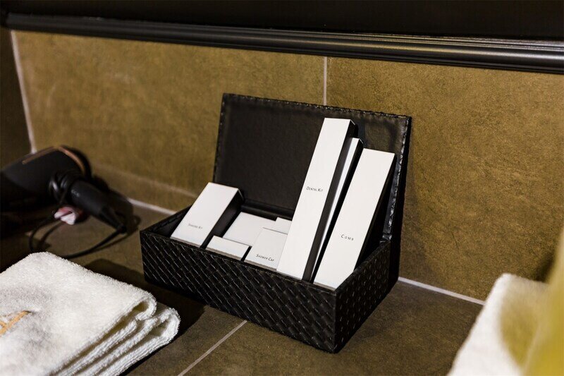 Эконом 1-местный (Бизнес)