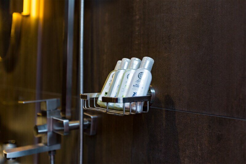 Эконом 2-местный (Бизнес)