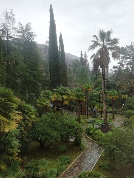 Стандартный 2-местный 1-комнатный без балкона корпус № 1, категория «В»