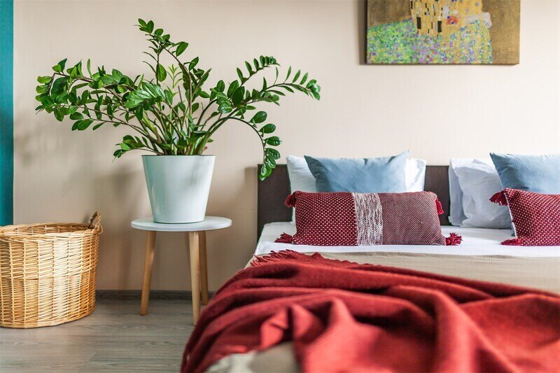 Апартаменты 3-местные Студио Климт