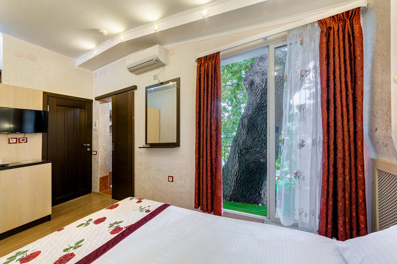 Стандартный 2-местный 1-комнатный (с французским балконом)