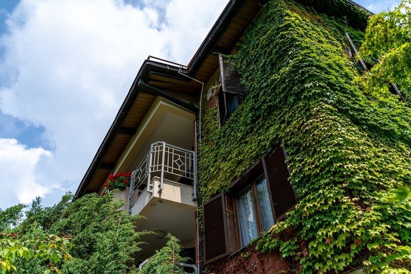 Коттедж Апартаменты 5-местный