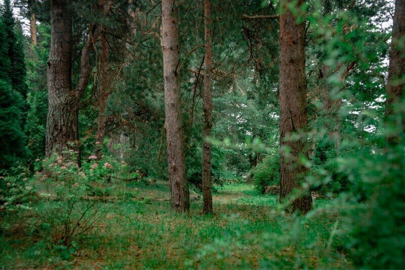 6de57b4e0eed05058ff98a6dfd525237_1050x600