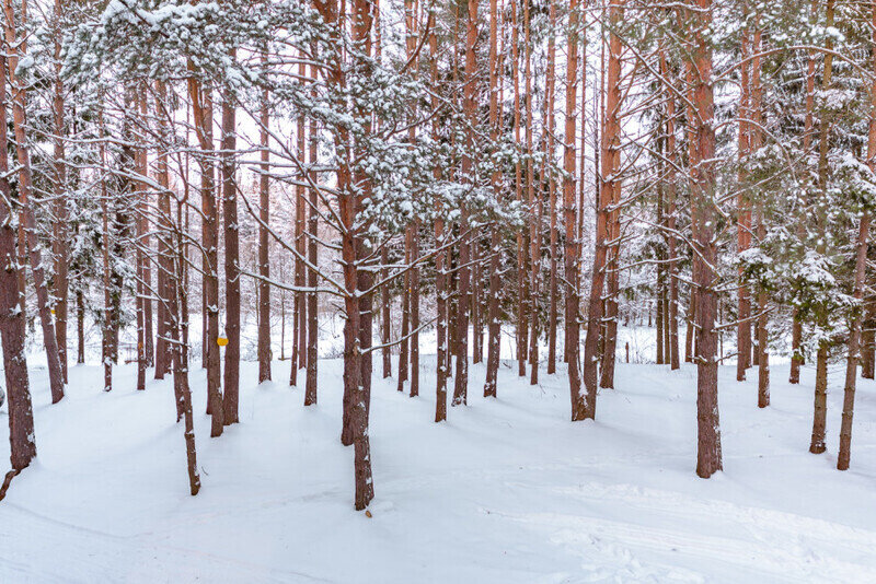 146bfe8616c29c5fc19d63acb631af43_1050x600